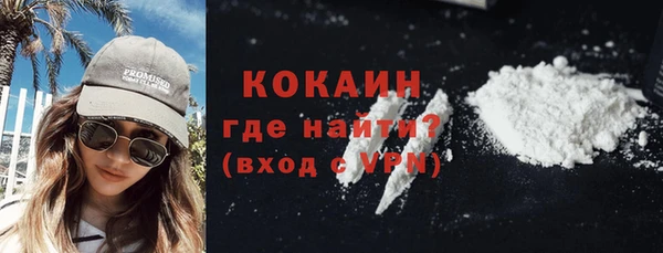 ГАЛЛЮЦИНОГЕННЫЕ ГРИБЫ Гусев