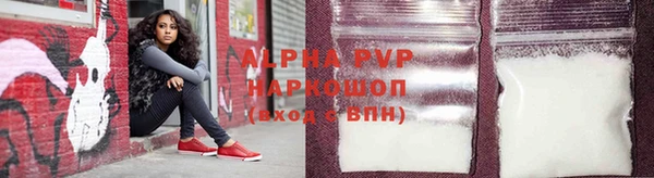 ГАЛЛЮЦИНОГЕННЫЕ ГРИБЫ Гусев