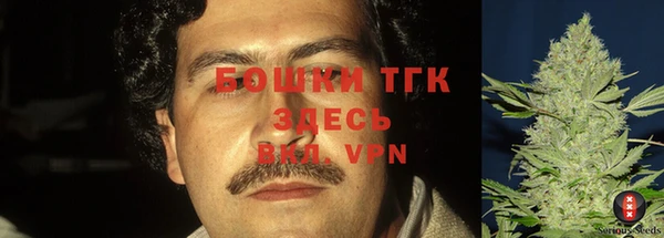 ГАЛЛЮЦИНОГЕННЫЕ ГРИБЫ Гусев
