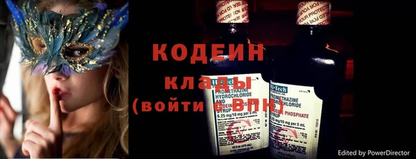 ГАЛЛЮЦИНОГЕННЫЕ ГРИБЫ Гусев