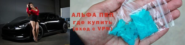ГАЛЛЮЦИНОГЕННЫЕ ГРИБЫ Гусев