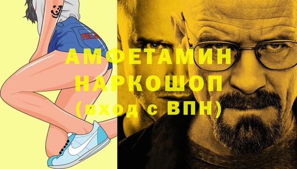 ГАЛЛЮЦИНОГЕННЫЕ ГРИБЫ Гусев