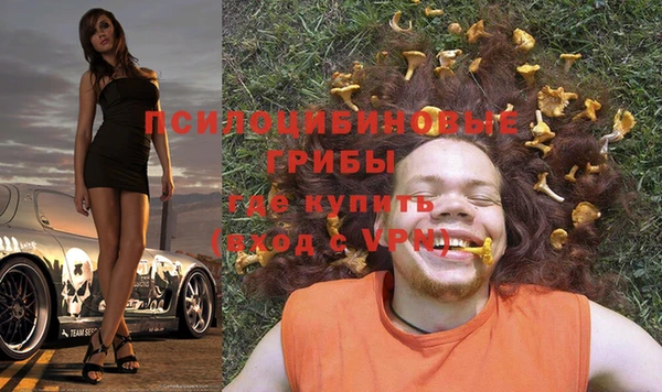 Альфа ПВП Гусь-Хрустальный