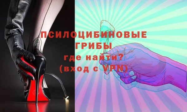 Альфа ПВП Гусь-Хрустальный