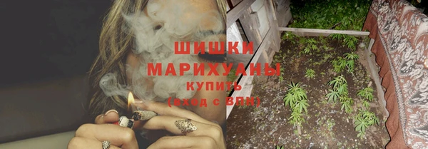 ГАЛЛЮЦИНОГЕННЫЕ ГРИБЫ Гусев
